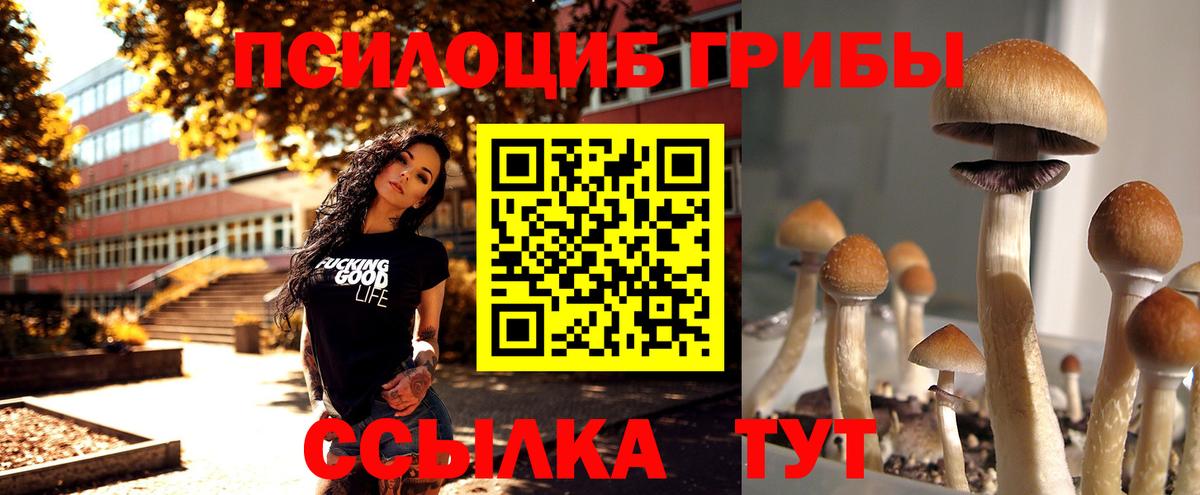 Псилоцибиновые грибы мухоморы  Галлюциногенные грибы Psilocybine cubensis  Вход с VPN  Ртищево 